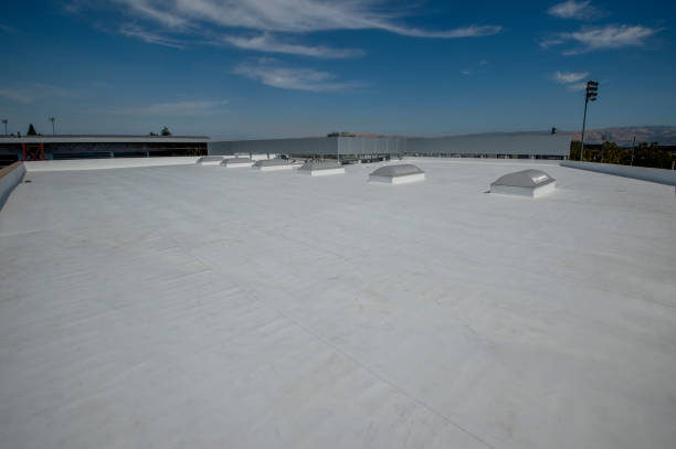 Best Roof Coating Services  in Andrews, TX